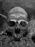 Weathered — photograph by Eric Jourgensen