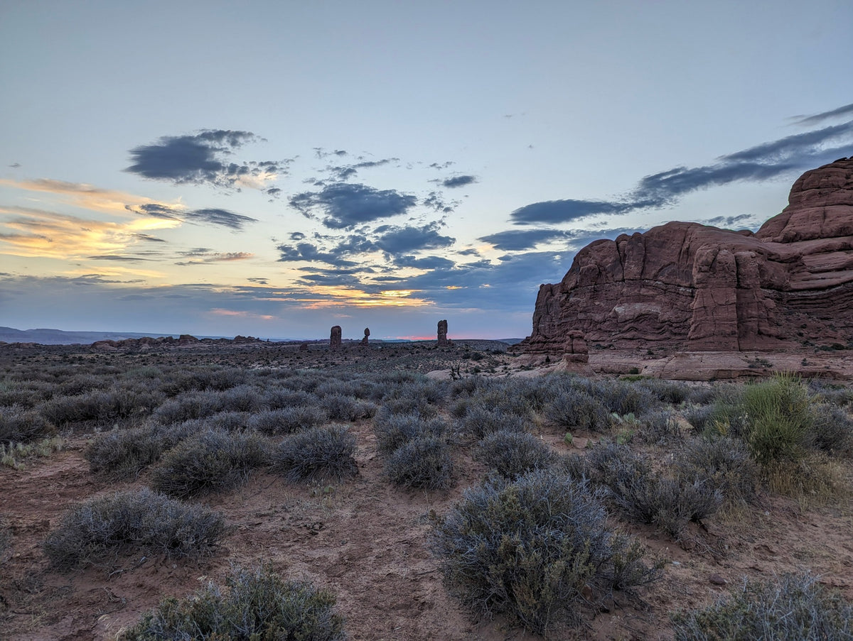 Path at Dusk — photograph by Eric Jourgensen