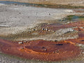 Rust and Runoff — photograph by Eric Jourgensen